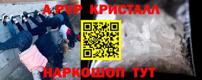 стаф Будённовск