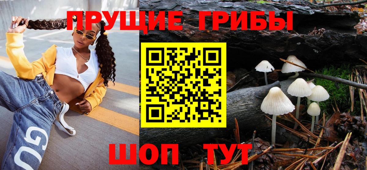 Саки  Псилоцибиновые грибы Cubensis  Псилоцибиновые грибы Psilocybine cubensis  Вход с VPN 